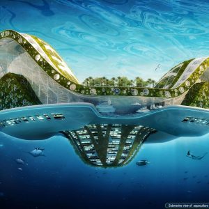 Lilypads – Floating city solution for rising sea levels / Lilypads – Thành phố nổi giải pháp cho mực nước biển dâng