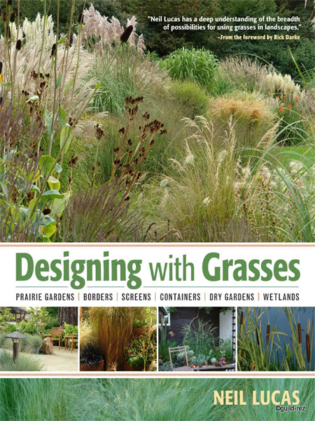 Designing with Grasses / Thiết kế cảnh quan với Cỏ
