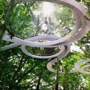 The park design turns the forest into a playground / Thiết kế công viên biến khu rừng thành sân chơi