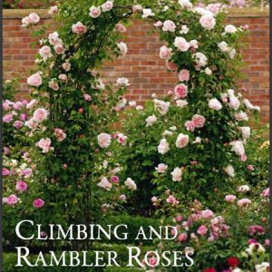 Climbing and rambler roses