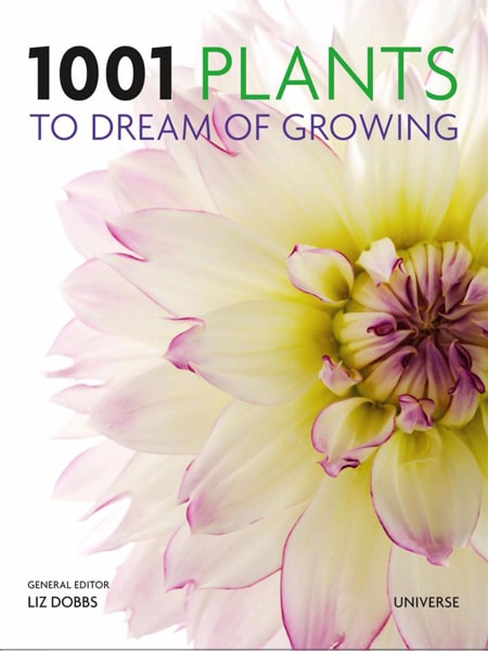 1001 plants to dream of growing