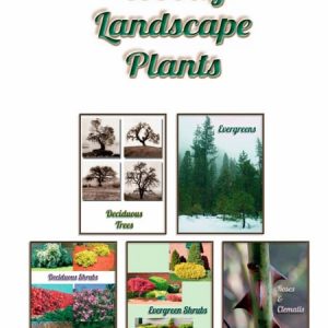Woody landscape plants