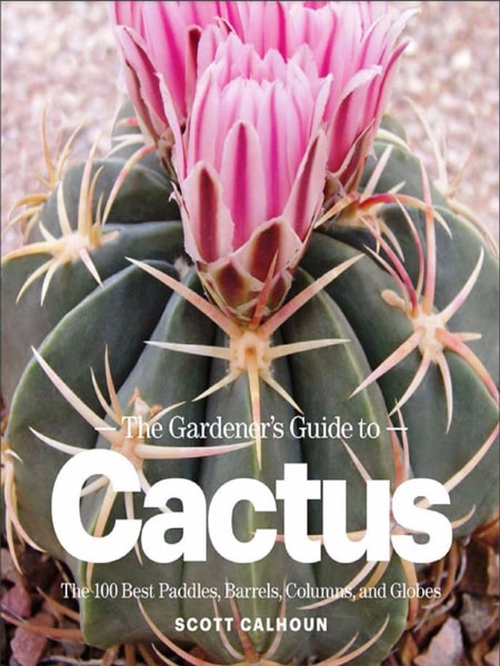 The gardener’s guide to cactus