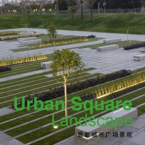 Urban Square Landscape / Thiết kế cảnh quan quảng trường đô thị