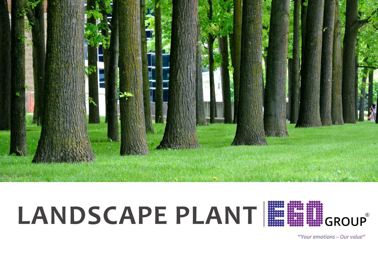 Ego Landscape Plant-20181