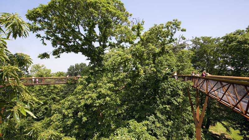 Xstrata Treetop Walkway at Kew Gardens with Tony Kirkham / Đường dạo trên không ở Vườn thực vật Kew