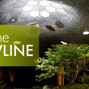 The Lowline in NYC, The World’s First Underground Park