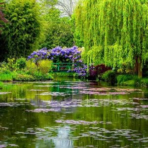 Spring in MONET’S GARDEN – Giverny, France, by Dean and Dudley Evenson
