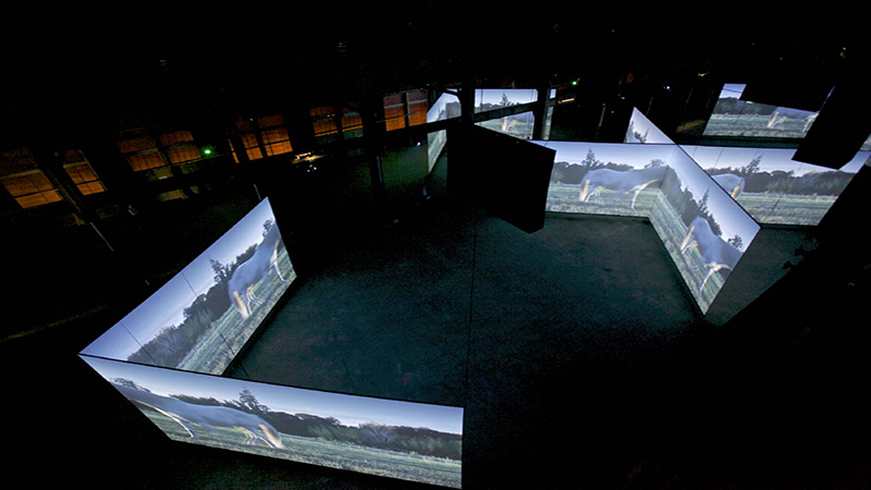 Doug Aitken Altered Earth Installation