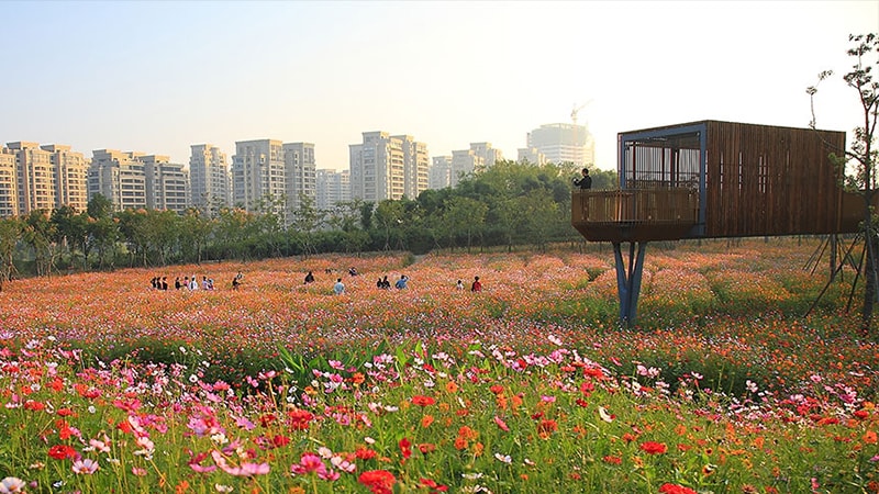 Kongjian Yu, “The Art of Survival: Recovering Landscape Architecture” / Tái tạo cảnh quan