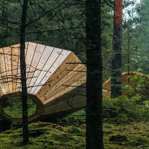 Lost in the forest- Art installation / Tác phẩm sắp đặt: Lạc giữa khu rừng