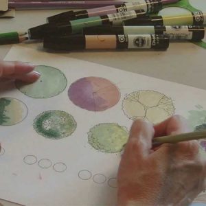 ASMR Landscape Coloring Techniques