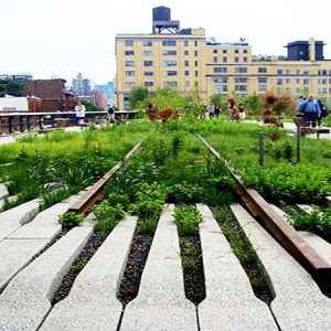 The High Line Design Video