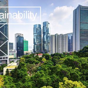 The Rise of Sustainability