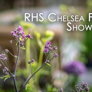 RHS Chelsea Flower Show 2018 Ep01