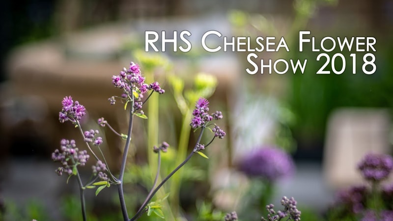 RHS Chelsea Flower Show 2018 Ep01