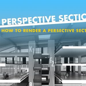How to: Render a Perspective Section