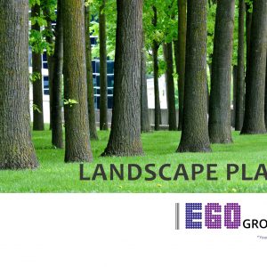 EGO Landscape Plant: Shrubs, Flowers, Groundcovers