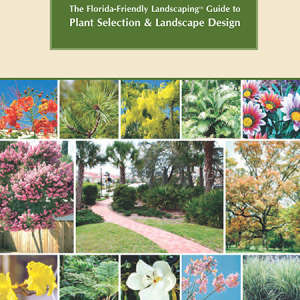 Plant Selection and Landscape Design / Lựa chọn loài cây trong thiết kế cảnh quan