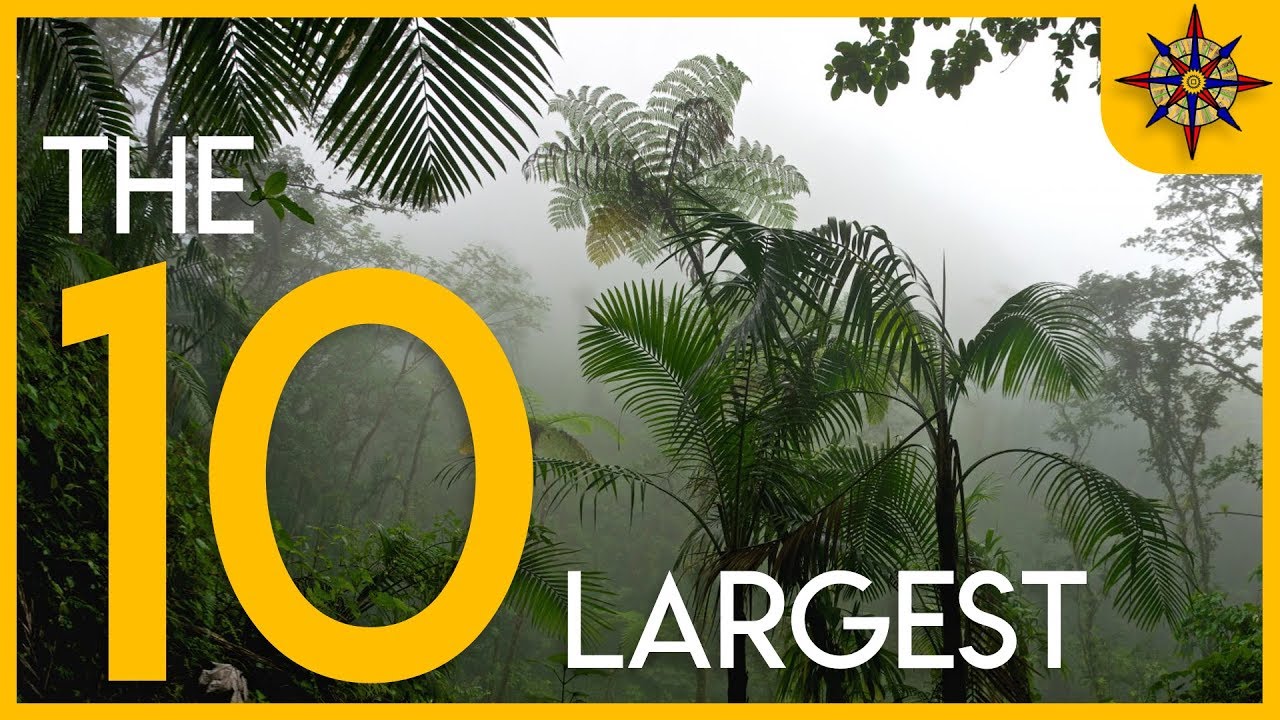 The 10 Largest Forests on Earth / Top 10 khu rừng lớn nhất thế giới