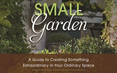 Big Dream Small Garden