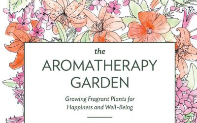 Aromatherapy Garden / Khu vườn hương thơm