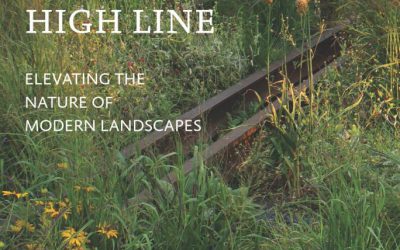 Gardens Of The High Line Elevating The Nature Of Modern Landscapes