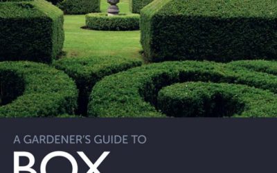 A Gardeners Guide to Box